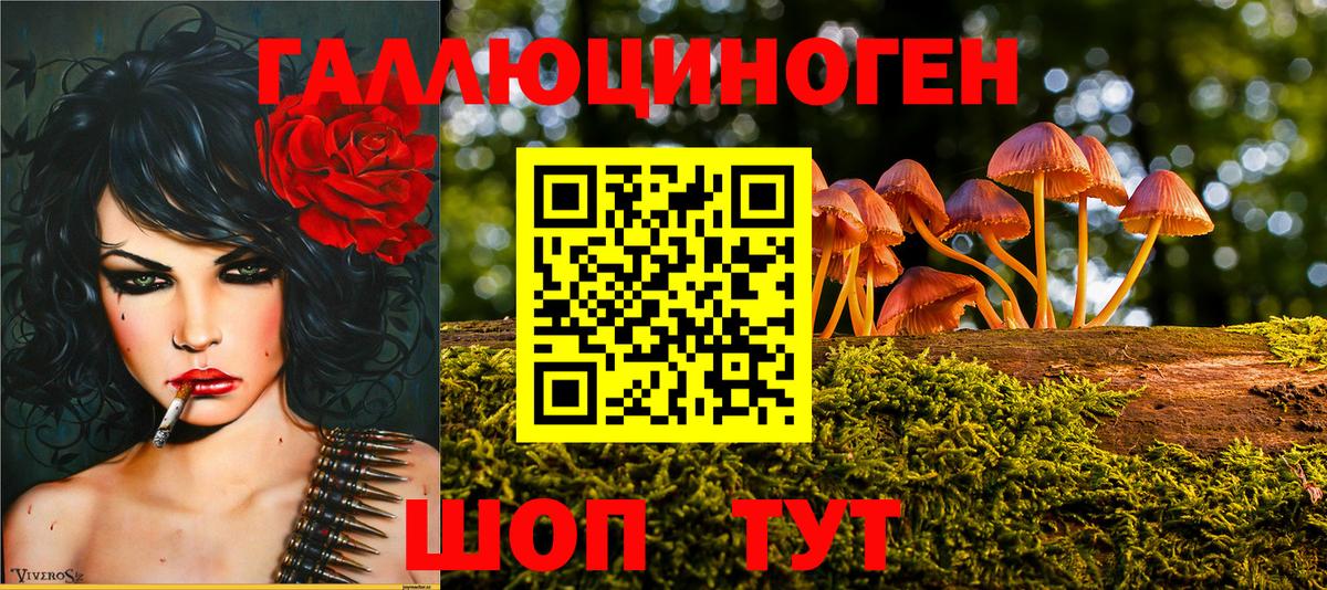 Псилоцибиновые грибы MAGIC MUSHROOMS  Вход с VPN  Орёл  Псилоцибиновые грибы прущие грибы 